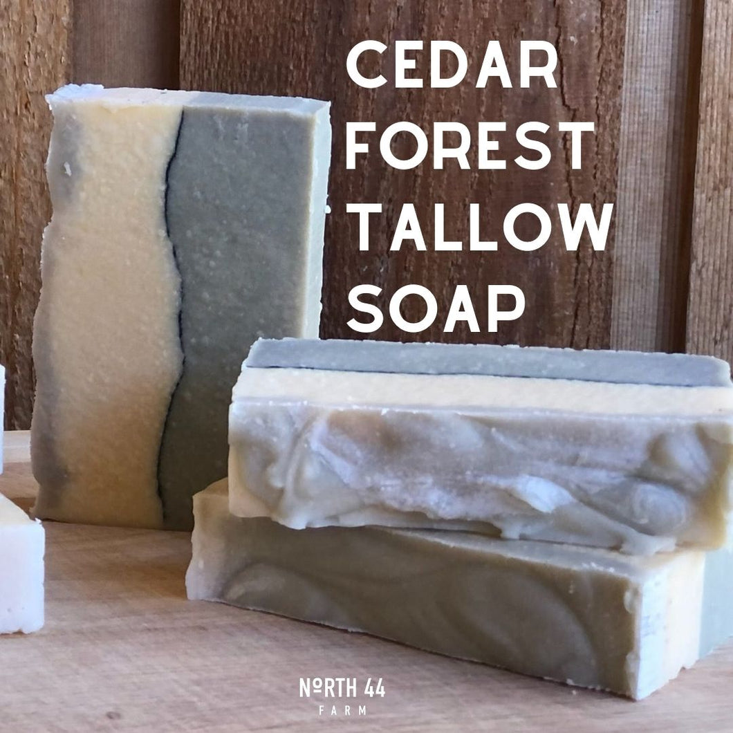 Tallow Soap