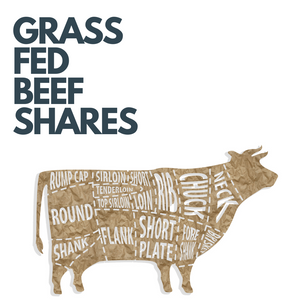 GRASS FED BEEF SHARES
