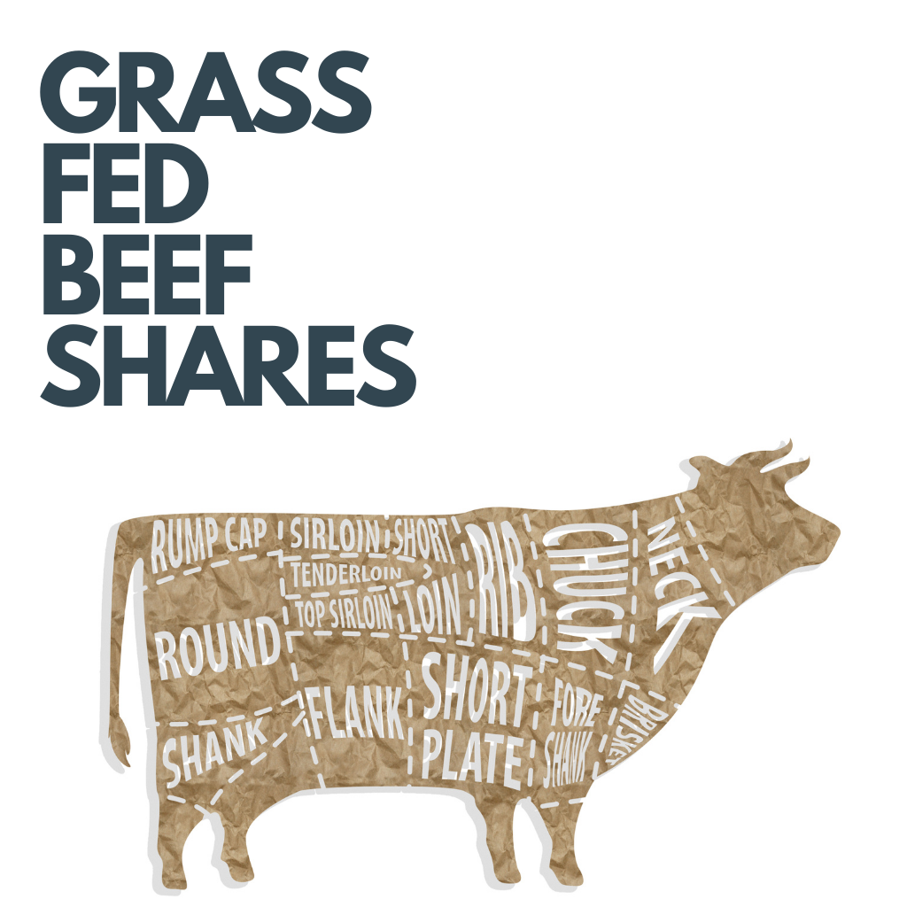 GRASS FED BEEF SHARES
